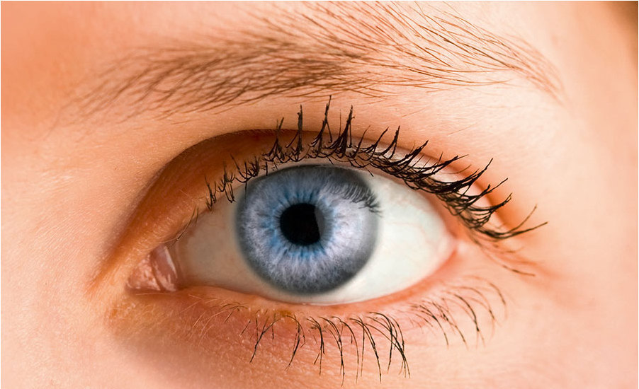 Auge mit Kontaktlinse