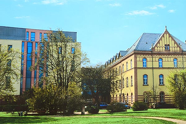 Das Bild ist ein Link zum Artikel.