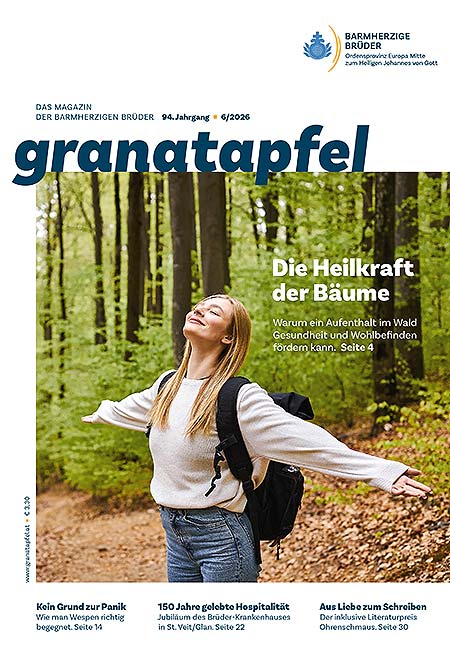 Das Bild ist ein Link zur PDF-Datei mit den Highlights des Heftes.