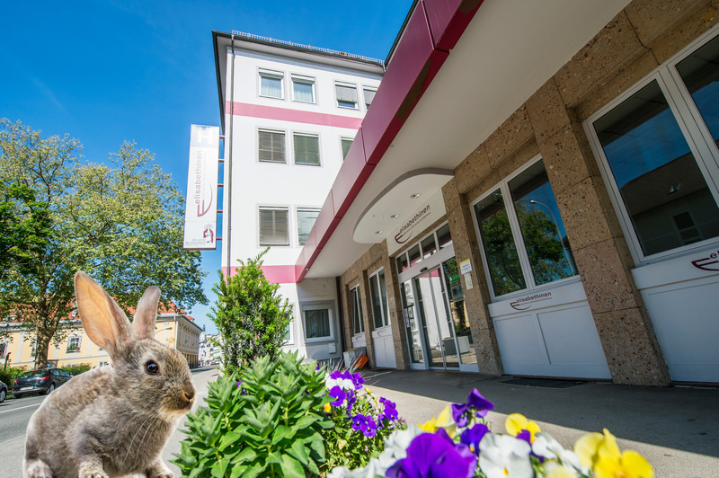 Hase mit Krankenhaus