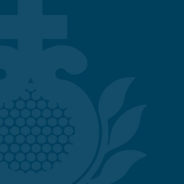 Das Bild zeigt einen blauen Hintergrund mit Granatapfel