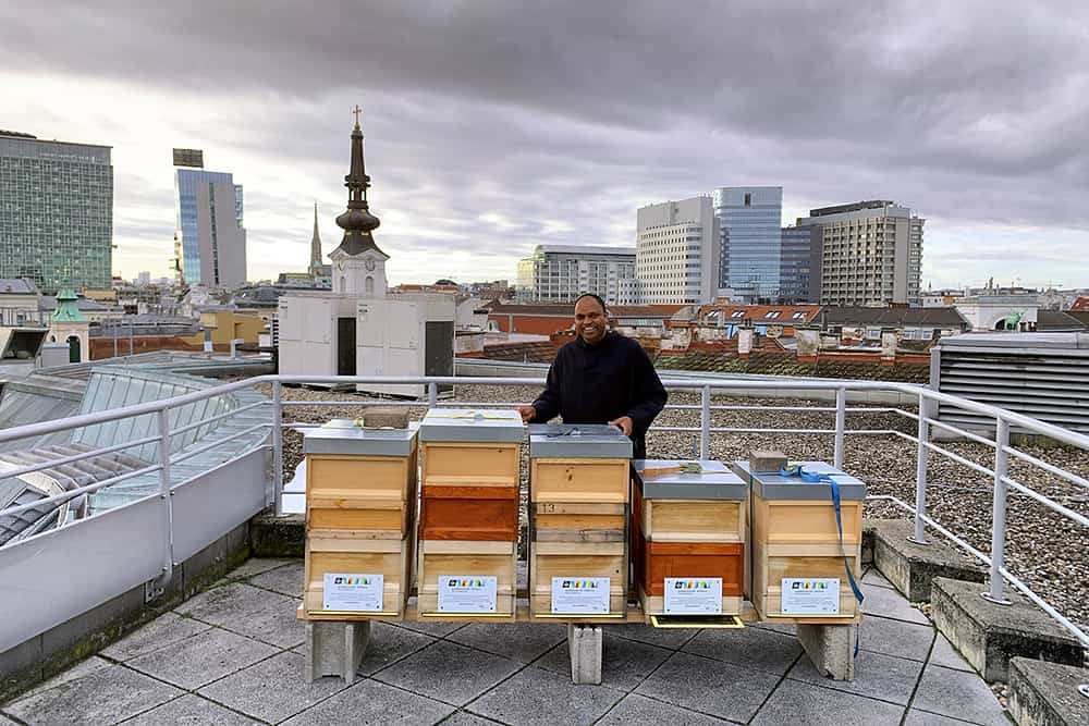Das Bild zeigt Pater Provinzial Saji Mullankuzhy mit Bienenstöcken auf dem Dach des Wiener Krankenhauses.