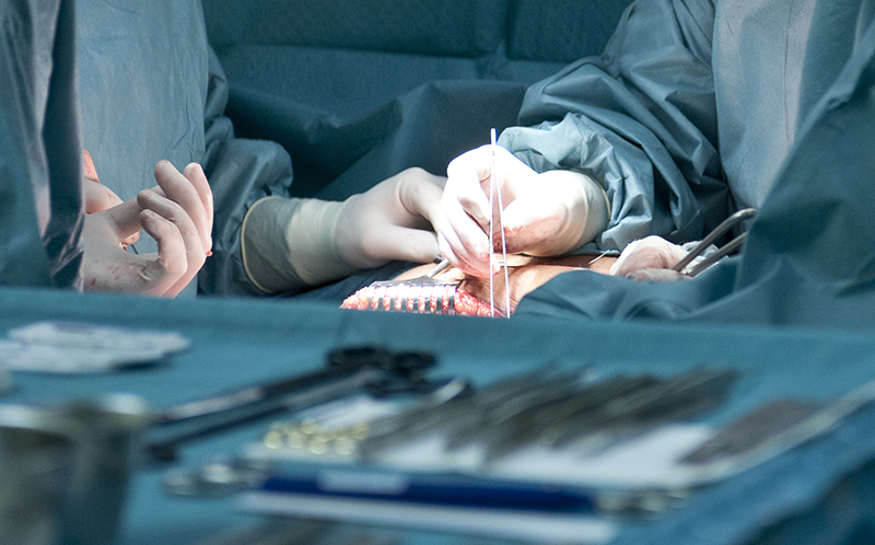 Plastische, Rekonstruktive und Ästhetische Chirurgie