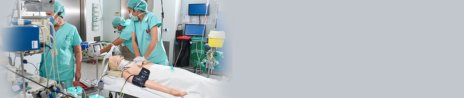 Simulations Zentrum Team