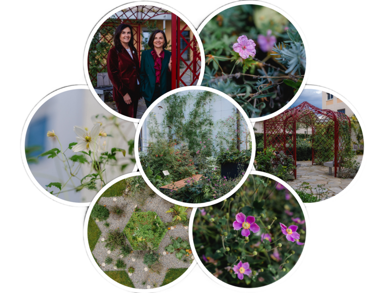 Gärten der Salutogenese