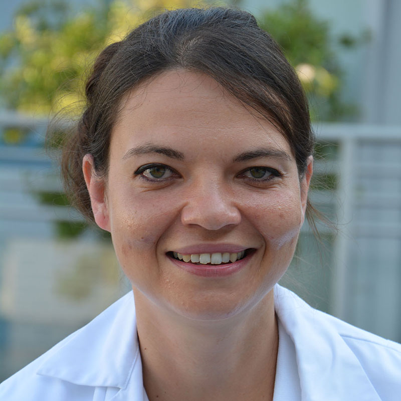 Barmherzige Brüder Wien