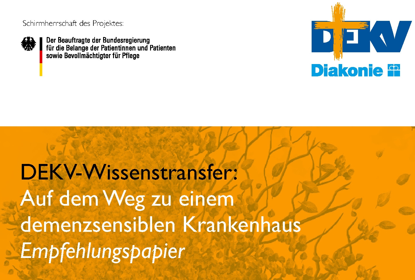 DEKV-Wissenstransfer 2017
