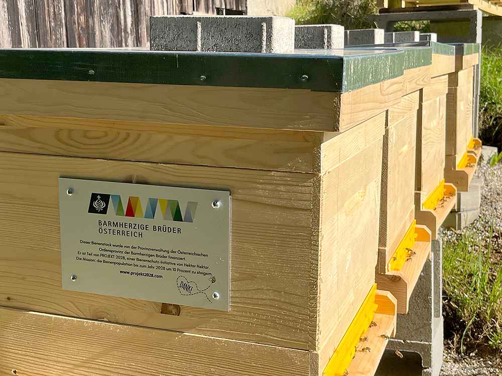 Bienenstöcke in Graz-Eggenberg / Barmherzige Brüder Das Bild zeigt Bienenstöcke in Graz-Eggenberg.