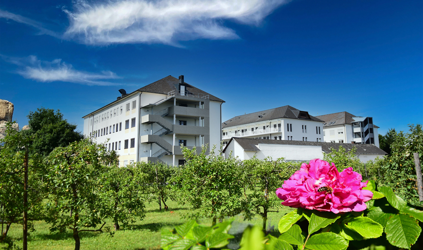 Gelebte Nachhaltigkeit EKH Biene