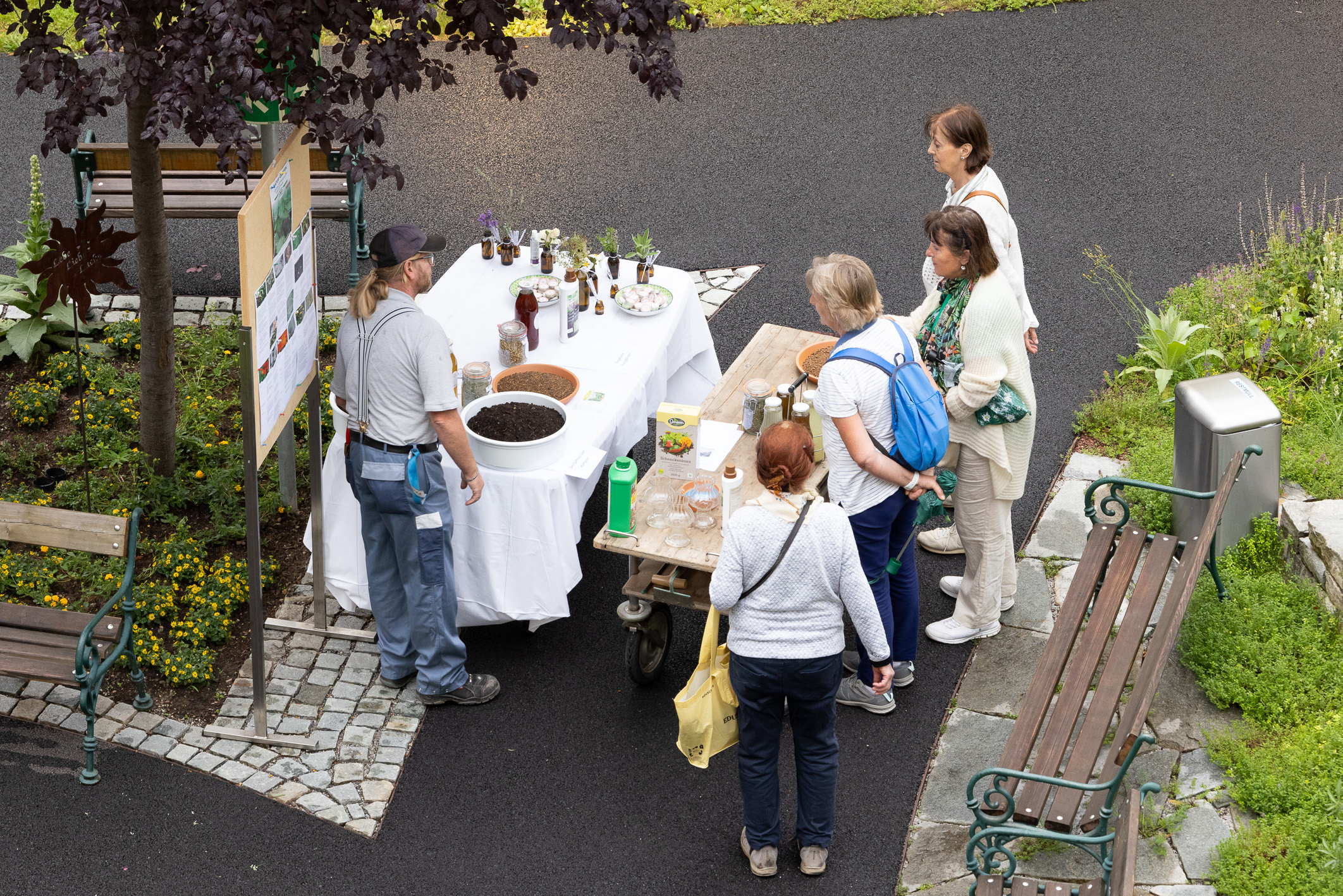 Harry Schiffer, Harry Schiffer Photodesign