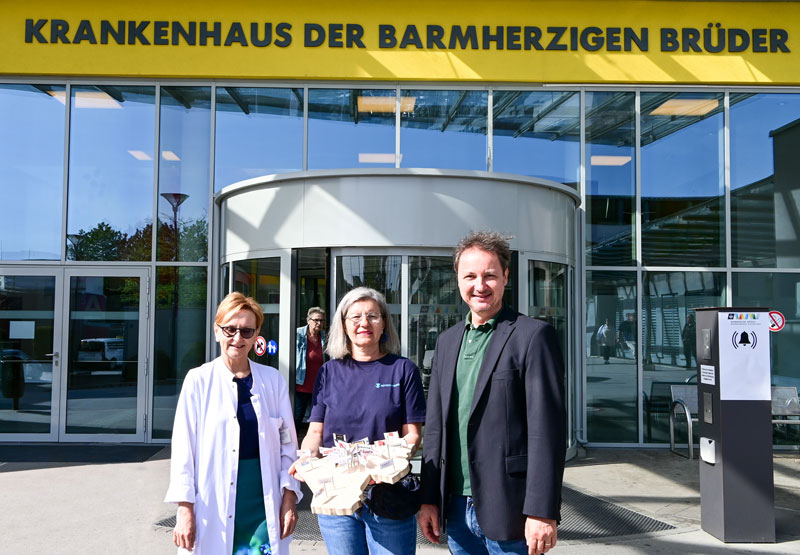 Burgenländische Landkarte der beruflichen Inklusion