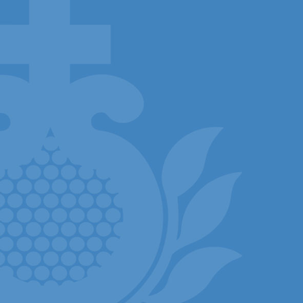 Das Bild zeigt einen blauen Hintergrund mit Granatapfel