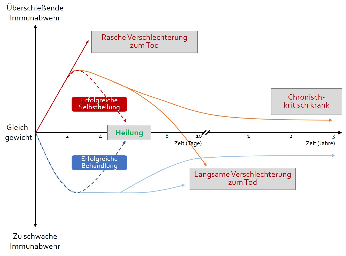 Verlaufstypen bei schwerer Erkrankung im Rahmen von COVID-19