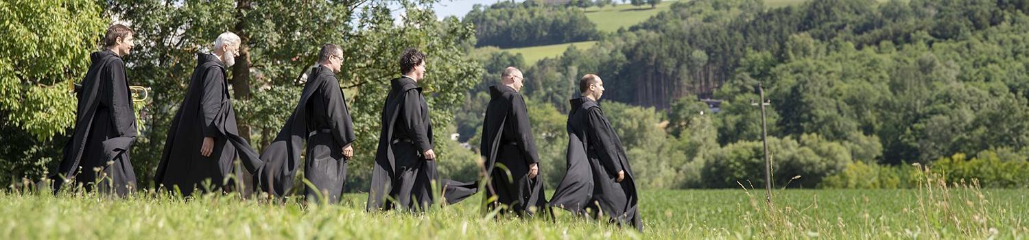 Das Bild zeigt Barmherzige Brüder, die über eine Wiese wandern.