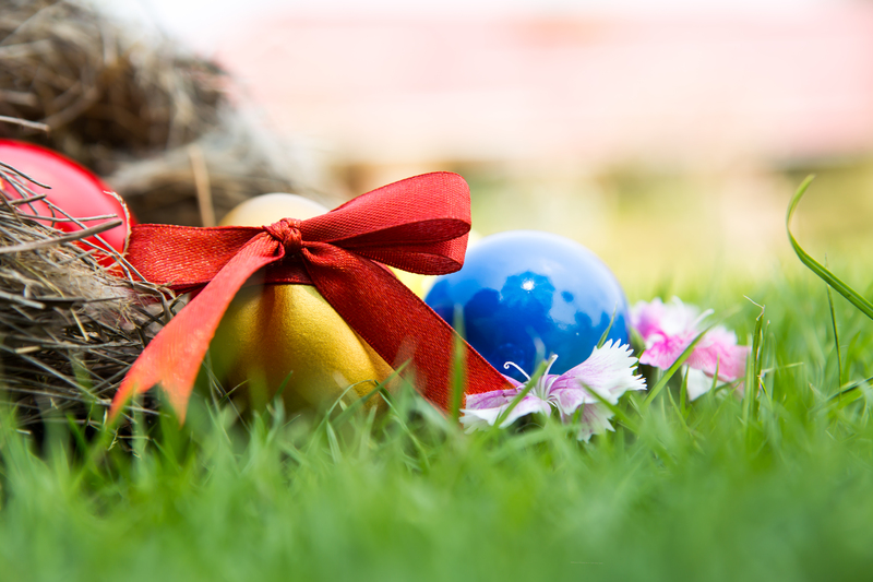 Easter eggs in nest on green grass