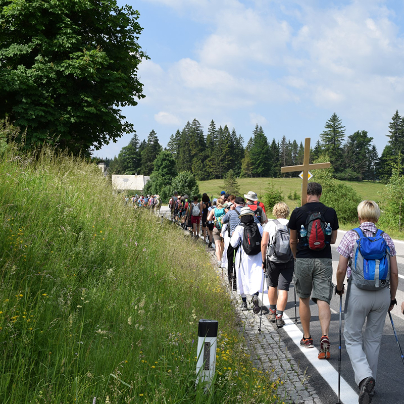 Wallfahrt Mariazell mit Pastoralrat