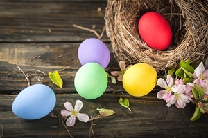 Ostern Osterei Fest Nest Dekoration bunt Querformat