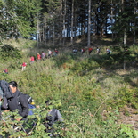 Unsere Fußwallfahrer auf dem Weg.