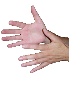 Die Gebärdensprache wird mit den Händen gesprochen