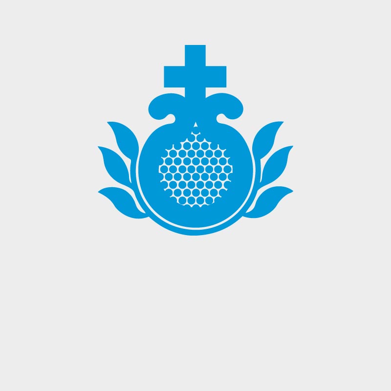 Das Bild zeigt einen stilisierten Granatapfel.