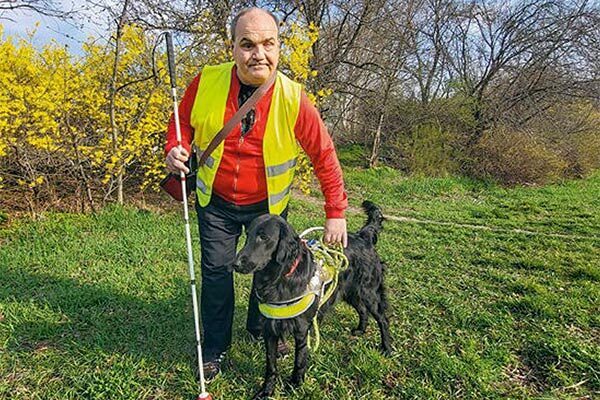 Das Bild ist ein Link zum Artikel.