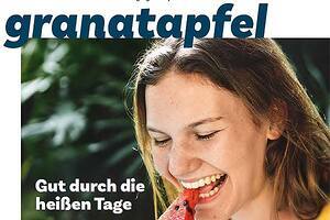 Das Bild ist ein Link zum Heft.