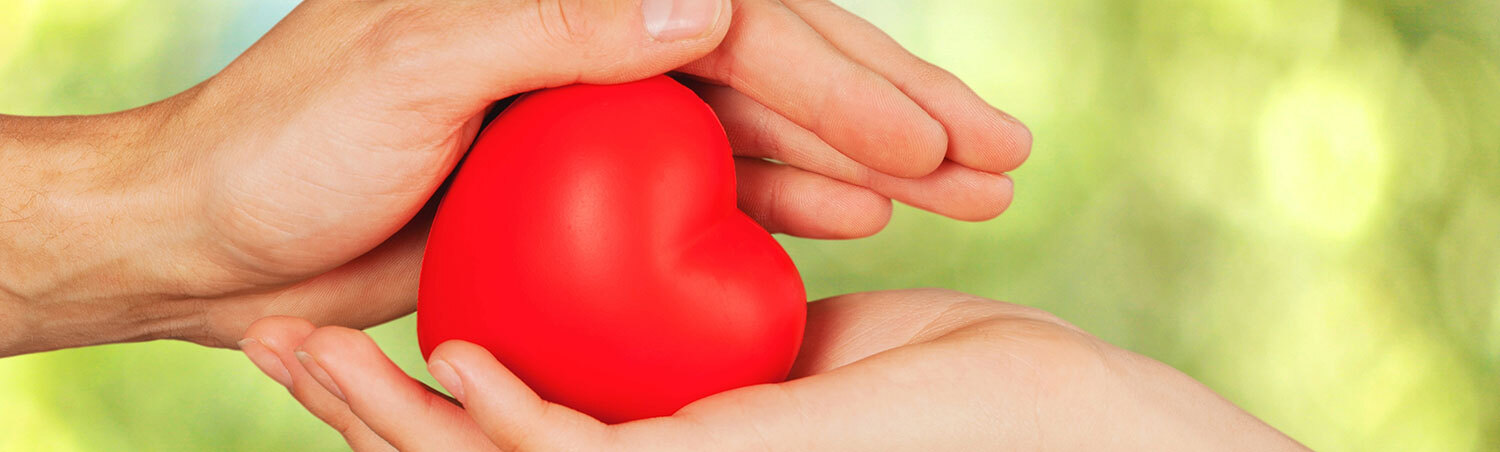 Das Bild zeigt Hände, die ein Herz halten.
