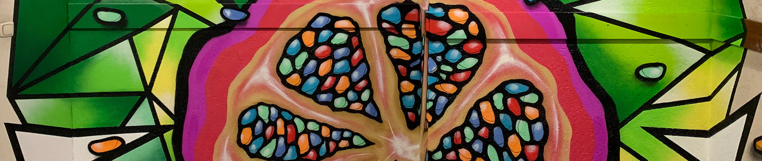 Das Bild zeigt ein Graffiti des KH BB Wien