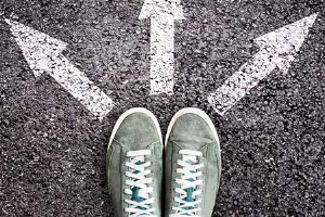 Am Foto sind der Fortbildungskalender sowie zwei Fortbildungskataloge ersichtlich.