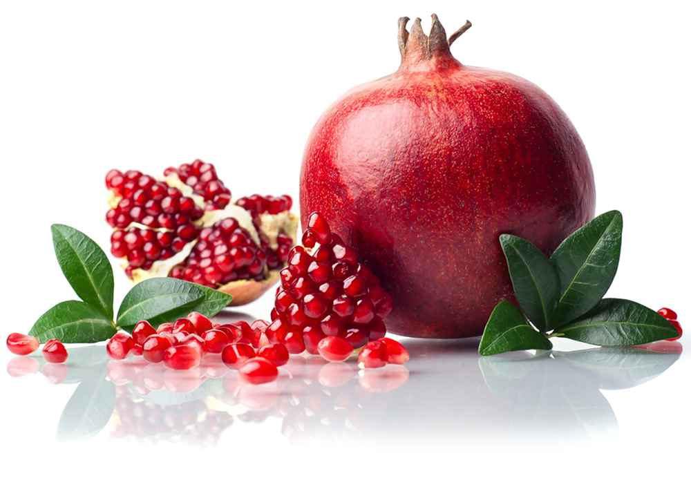 Granatapfel - unser Symbol