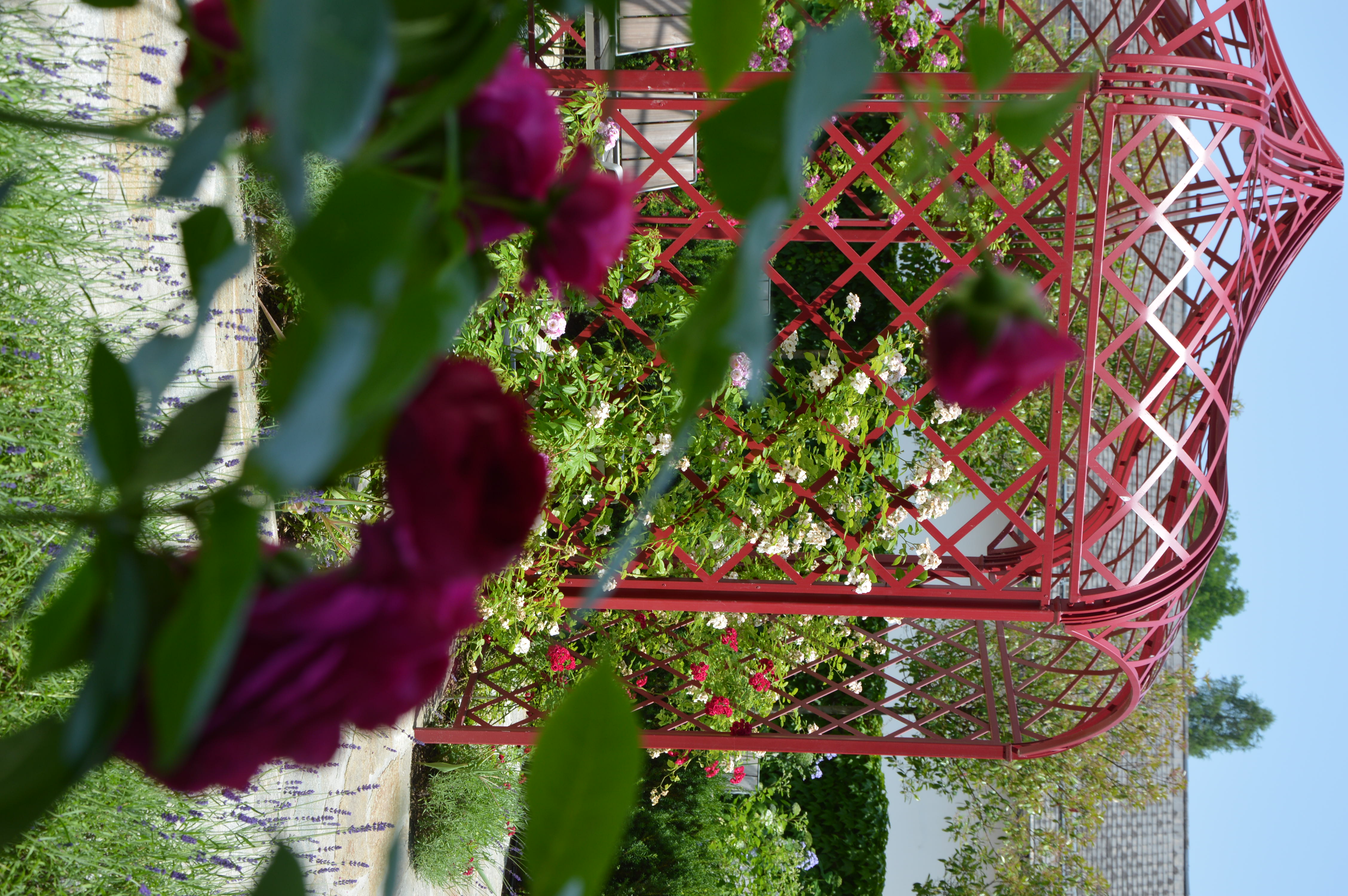 Rosengarten der Freude