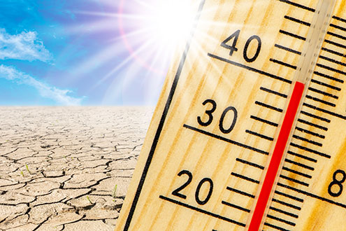 Das Bild zeigt ein Thermometer mit 40 Grad.