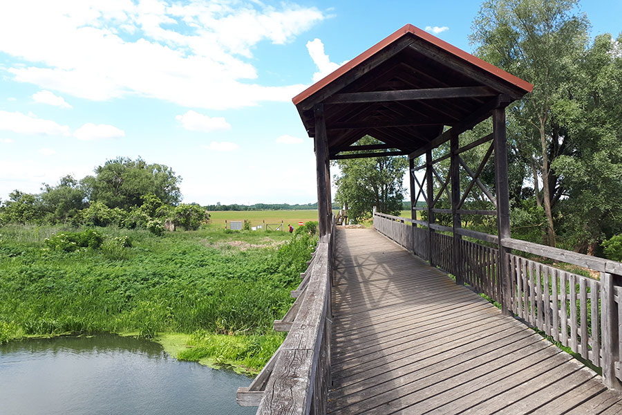 Barmherzige-Brueder-Granatapfel-Magazin-6-2022-Brücke-von-Andau-Foto-Krizsanits-900x600 / Barmherzige Brüder/Krizsanits Das Bild zeigt die Brücke von Andau.