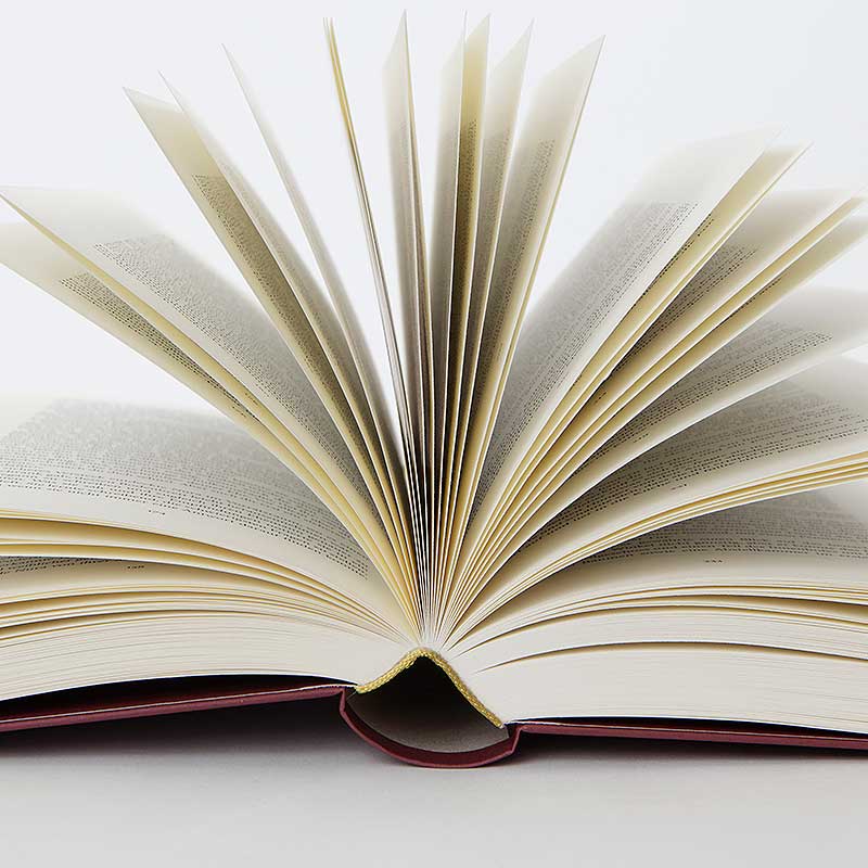 Das Bild zeigt ein geöffnetes Buch.