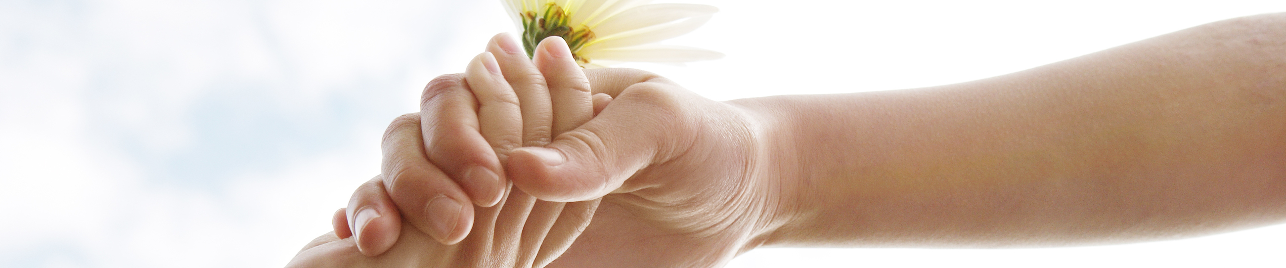 Two young girls' hands being held against the sky while holding a flower.