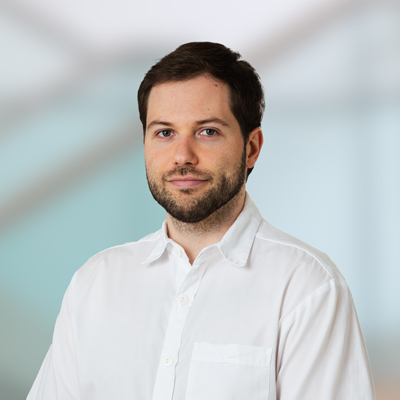 Ass. Dr. Lukas Ladinig