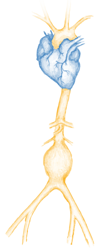 Zeichnung/Illustration