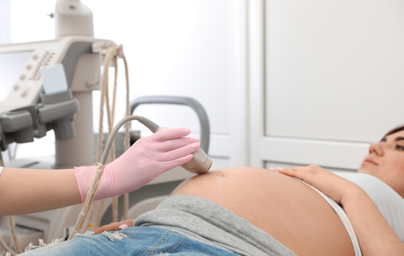 Young pregnant woman undergoing ultrasound scan in modern clinic / africa-studio.com (Olga Yastremska and Leonid Yastremskiy) Young pregnant woman undergoing ultrasound scan in modern clinic, closeup view