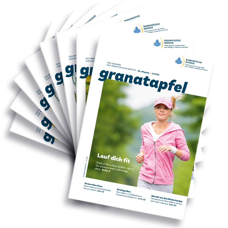 Das Bild zeigt mehrere Cover des GranatapfelMagazins