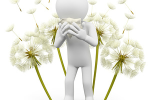 3d white people. Spring allergies. Dandelion. Isolated white background.