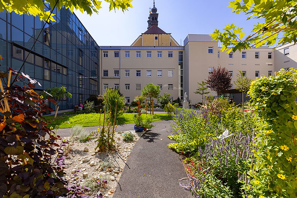 Das Bild zeigt den neuen Klostergarten im Innenhof des Krankenhauses der Barmherzigen Brüder in der Marschallgasse in Graz.