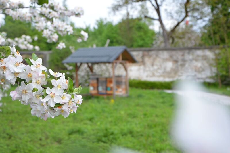 Bienenvölker im Garten / EKH Bienenvölker im Garten
