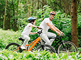 Das Bild zeigt zwei Radfahrer im Wald.