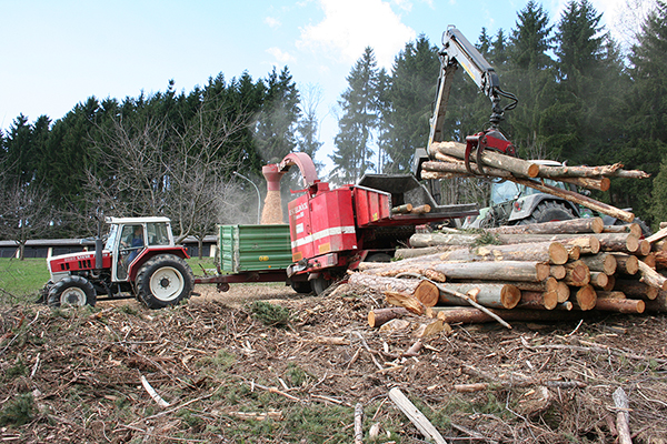 Das Bild zeigt das Zerkleinern der Baumstämme im Wald mittels spezieller Maschinen