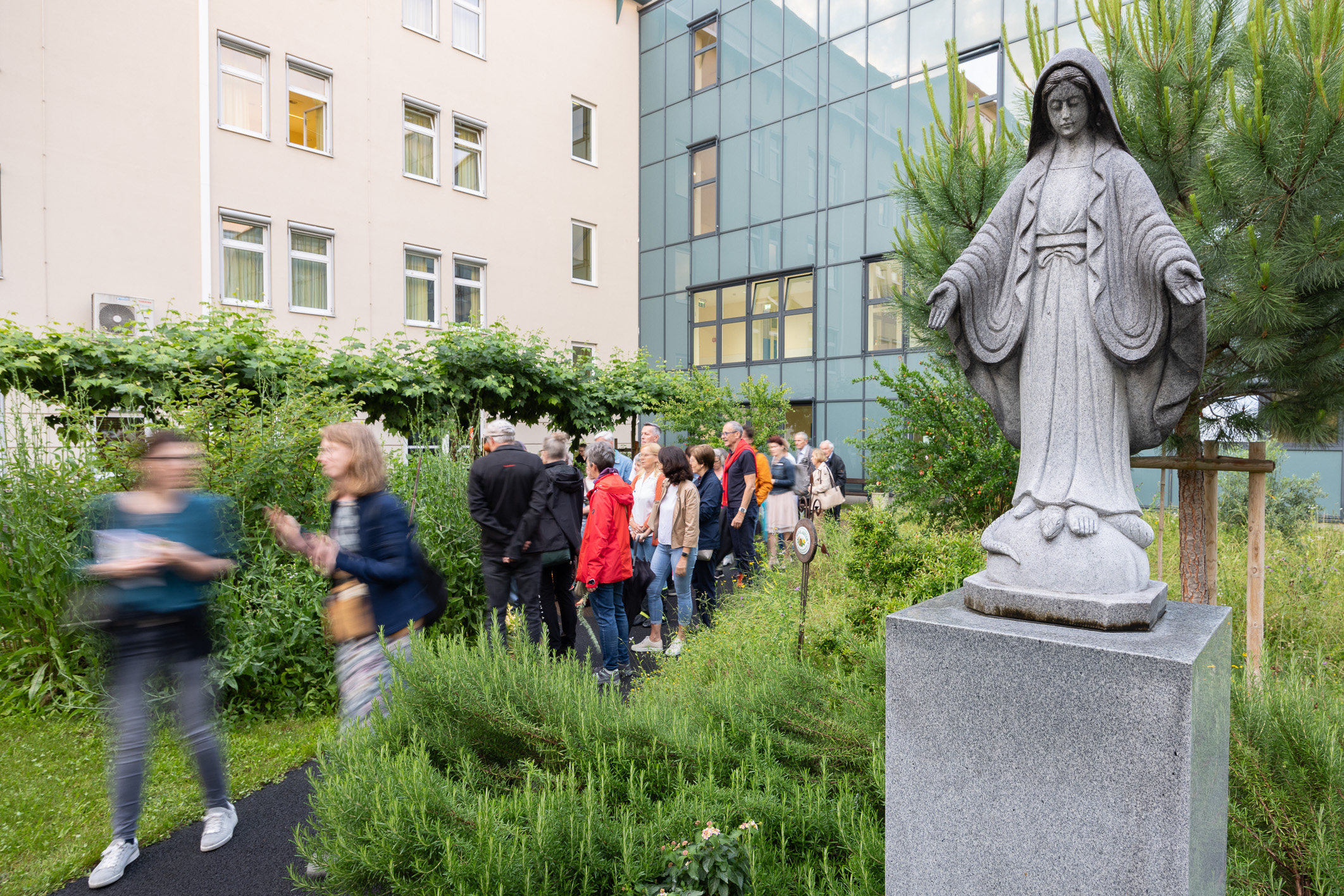 Harry Schiffer, Harry Schiffer Photodesign