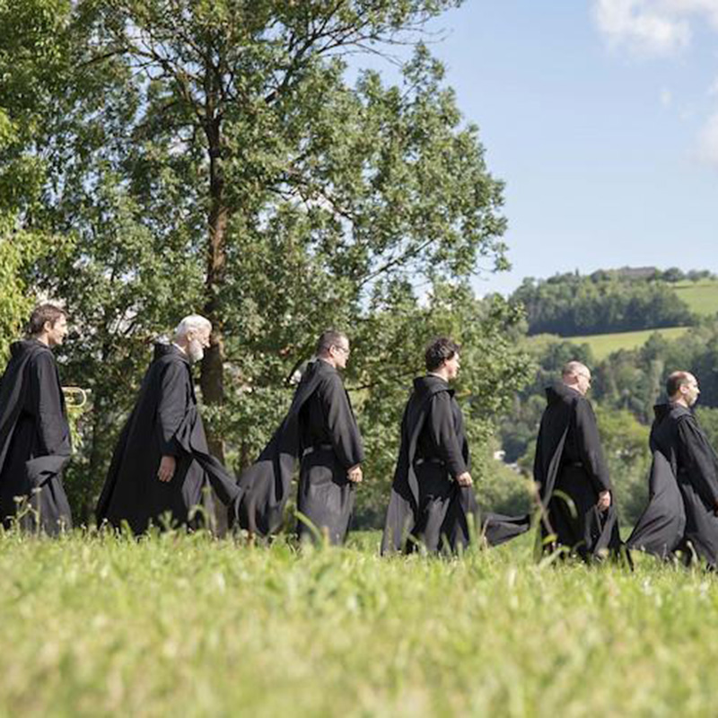 Eine Gruppe Barmherziger Brüder beim Spaziergang über eine Wiese.