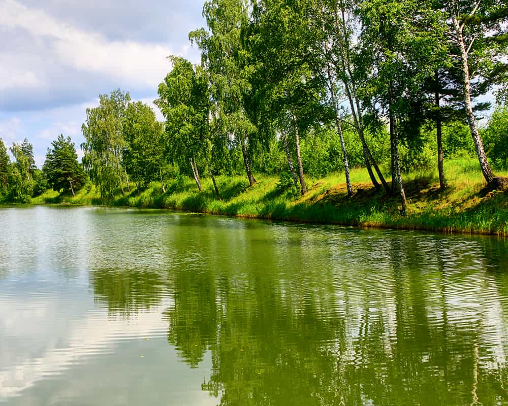 Öffentlichkeitsarbeit / Clipdealer Das Bild zeigt eine Flusslandschaft.