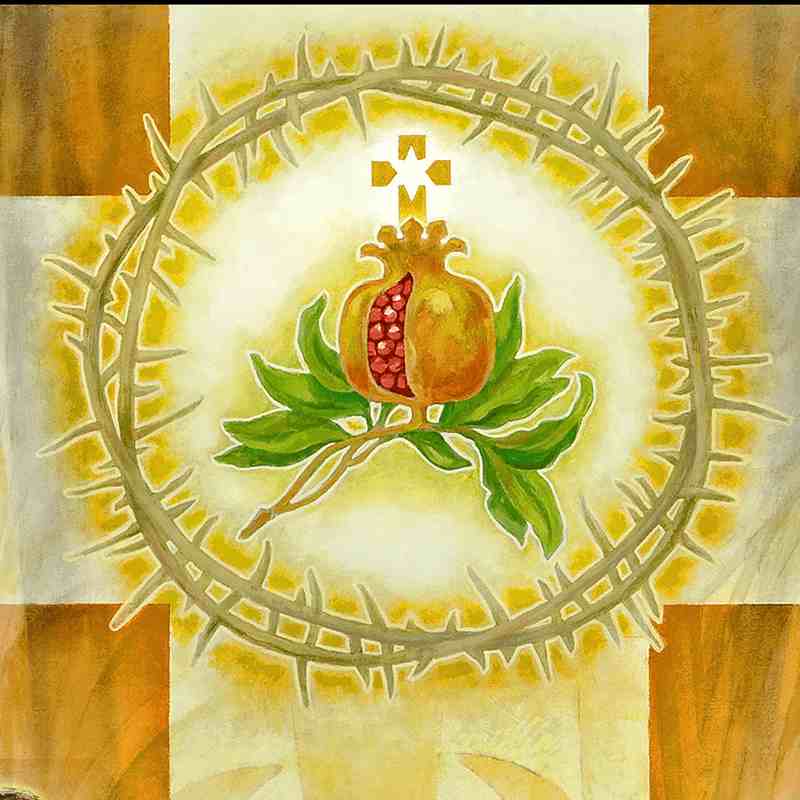 Das Bild zeigt einen Granatapfel, Granatapfel, das Symbol/Logo des Ordens der Barmherzigen Brüder.