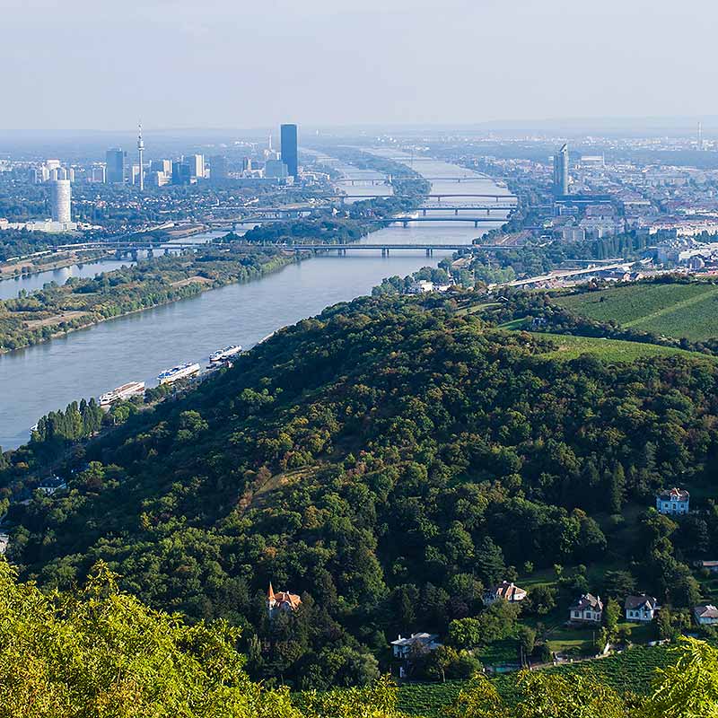 Das Bild zeigt einen Blick auf Wien.