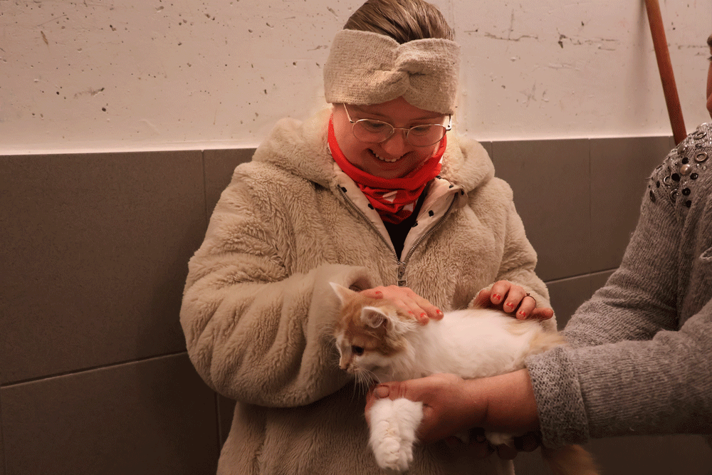 Sarah streichelt ein weiß oranges Kätzchen, dass ihr jemand hinhält.